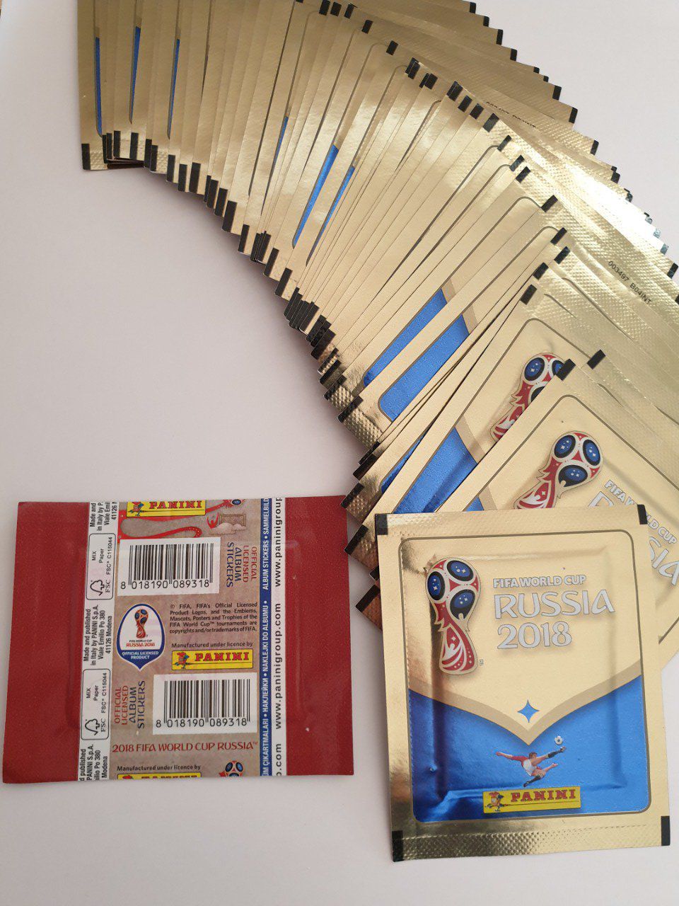 Album Panini vierge - Collection