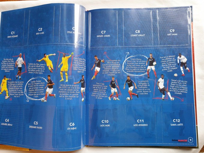 Panini Family au plus près des bleu 2020 set complet