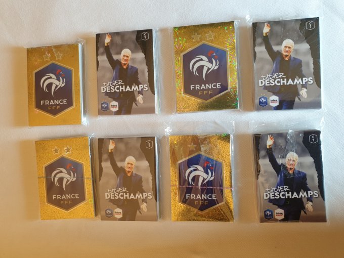 Panini Family au plus près des bleu 2020 set complet sans album