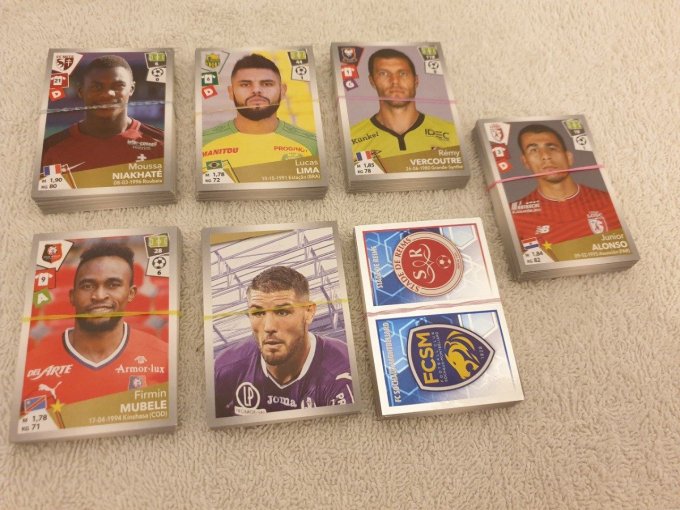 Panini Foot 2017 championnat de France Lot de 235 images avec double