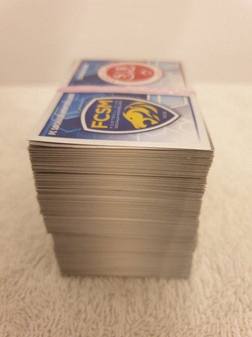 Panini Foot 2017 championnat de France Lot de 235 images avec double