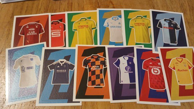 Panini Foot 2025-2026  images manquantes