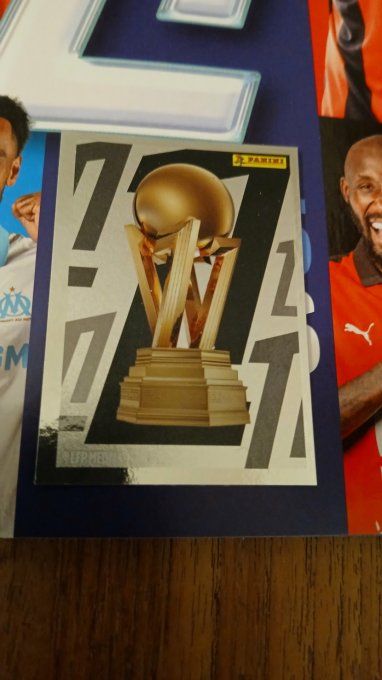 Panini Foot 2025-2026  images manquantes