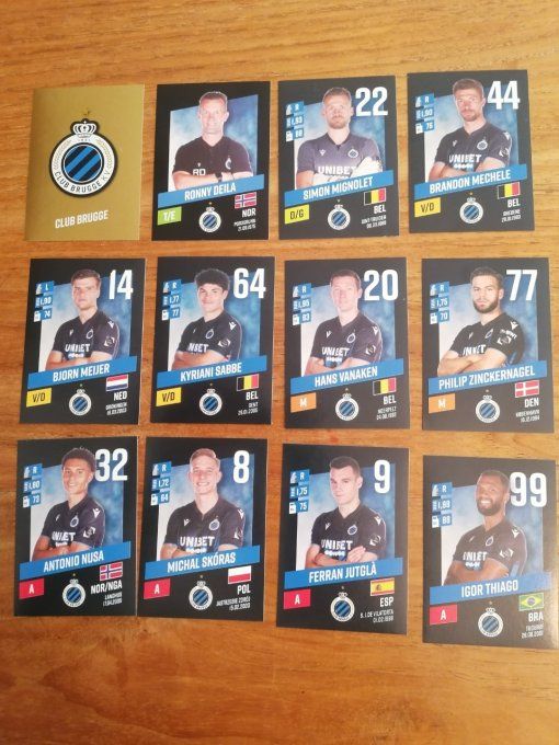 Panini Pro League 2023-2024 Brugge team