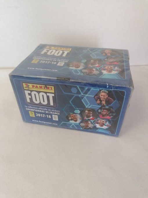 Panini Foot 2017 championnat de France Box 100 pochettes 