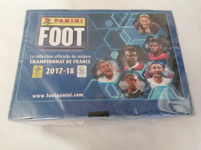 Panini Foot 2017 championnat de France Box 100 pochettes 