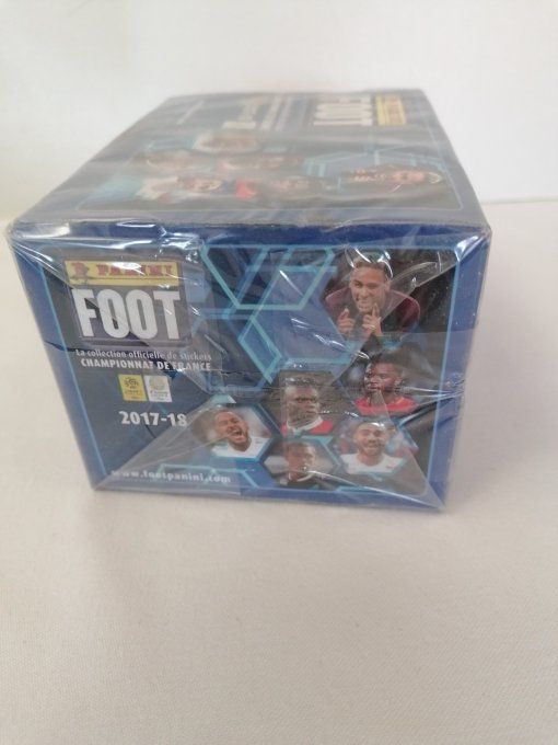 Panini Foot 2017 championnat de France Box 100 pochettes 