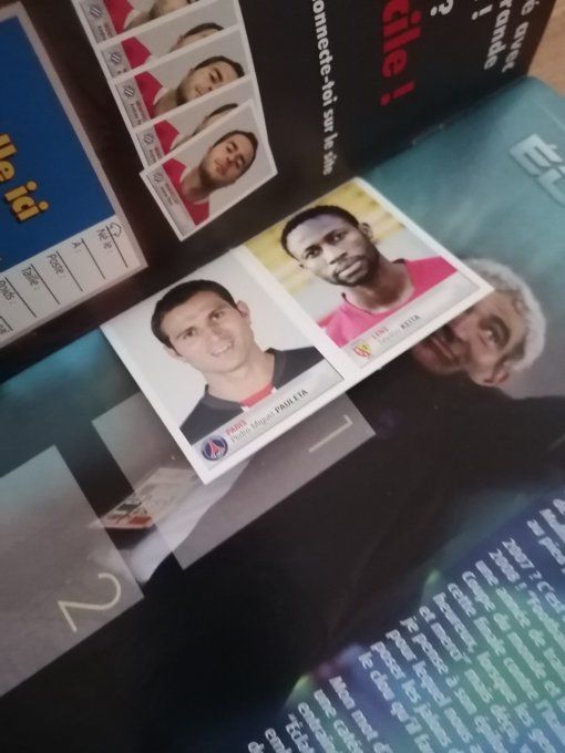 Panini championnat de France Foot 2007 album vide ribery