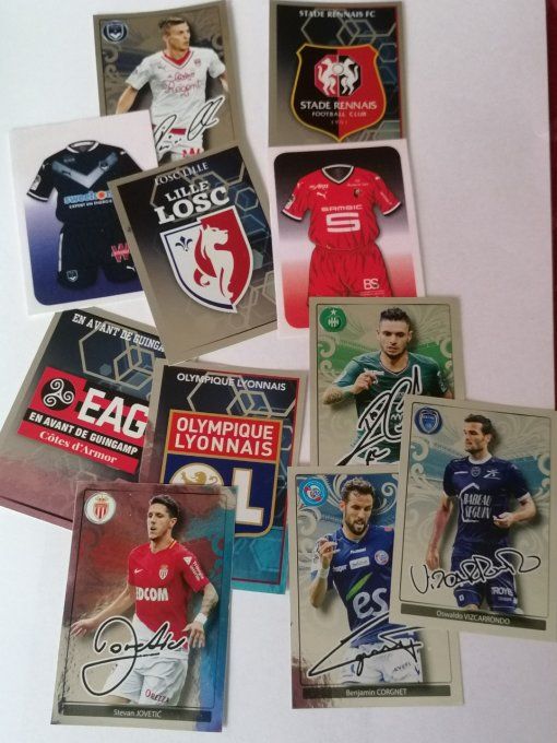 Panini Foot 2017 championnat de France Lot de 390 images sans double