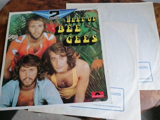 disque vinyle 33T double album Bee Geee