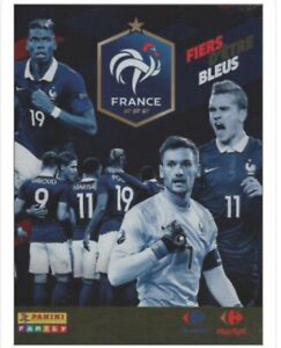 Panini Family Fier d'être Bleu 2016 images manquantes