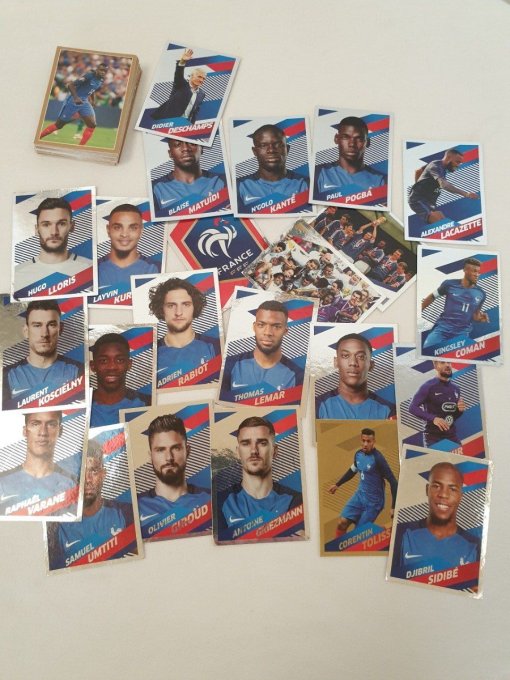 Panini family carrefour france 2018 lot 82 sticker