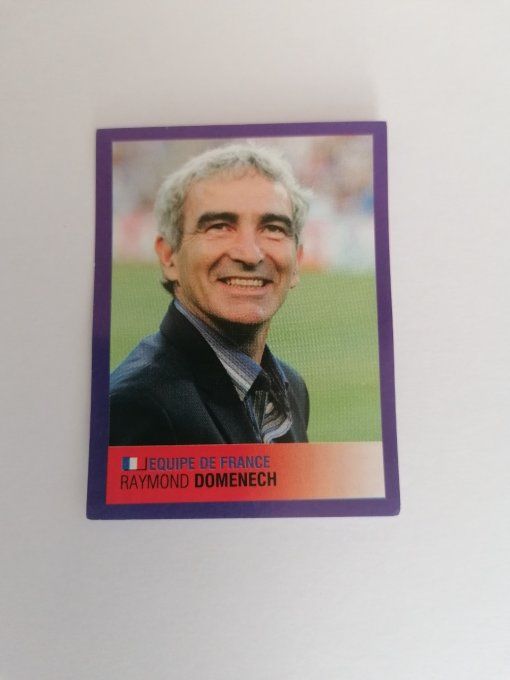 panini foot 2006 raymond domenech n°537