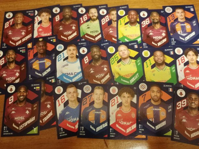 Panini Foot 2024 images manquantes  +UE