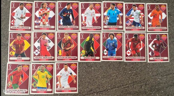 panini qatar 2022 extra skicker