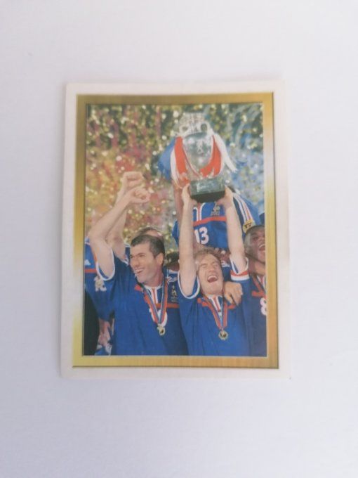 Panini zidane foot 2007 action n°567