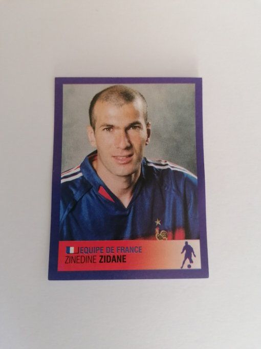 Panini zidane Foot 2006 n°538