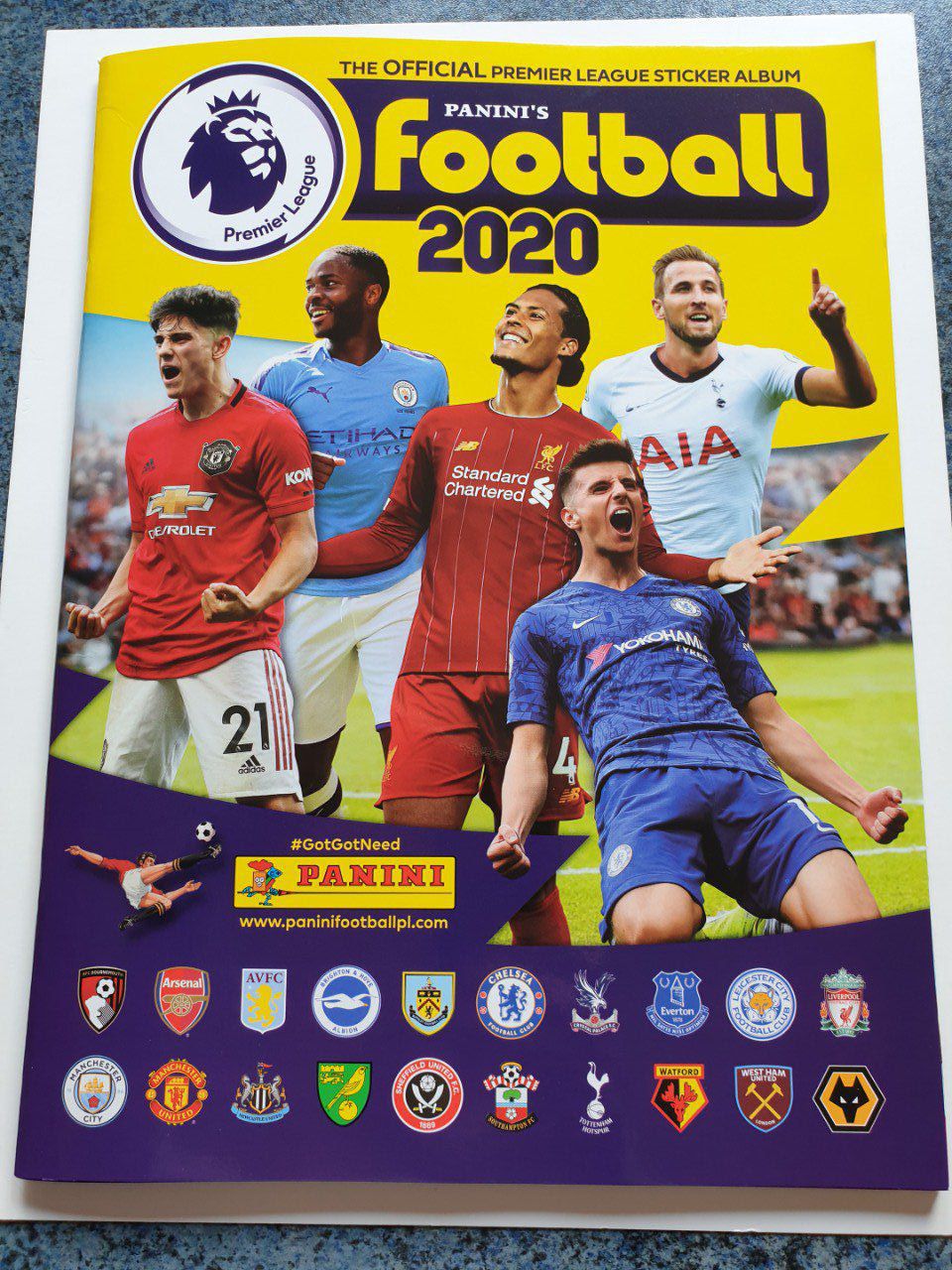 Panini Premier League Football 2020 Album Vide
