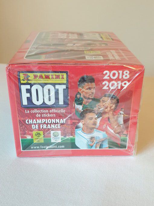 Panini Foot 2018-2019 championnat de France Box 100 pochettes