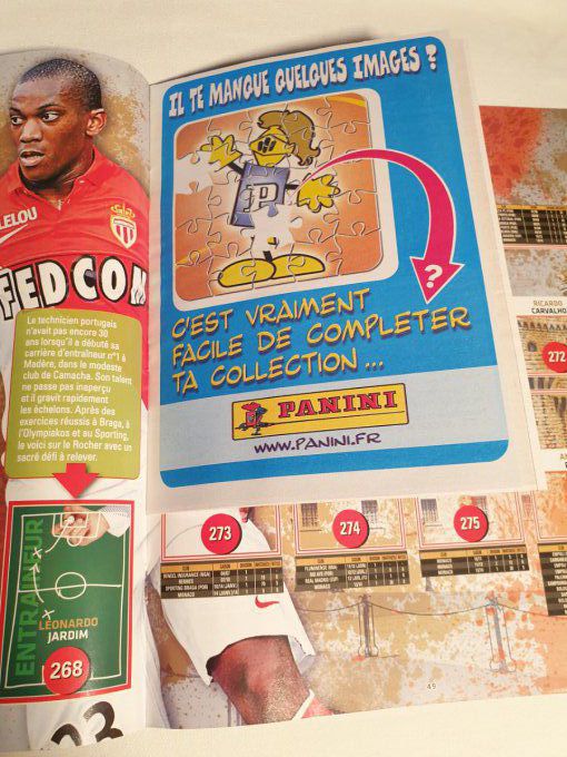 Panini Foot 2014-2015 championnat de France Album vide