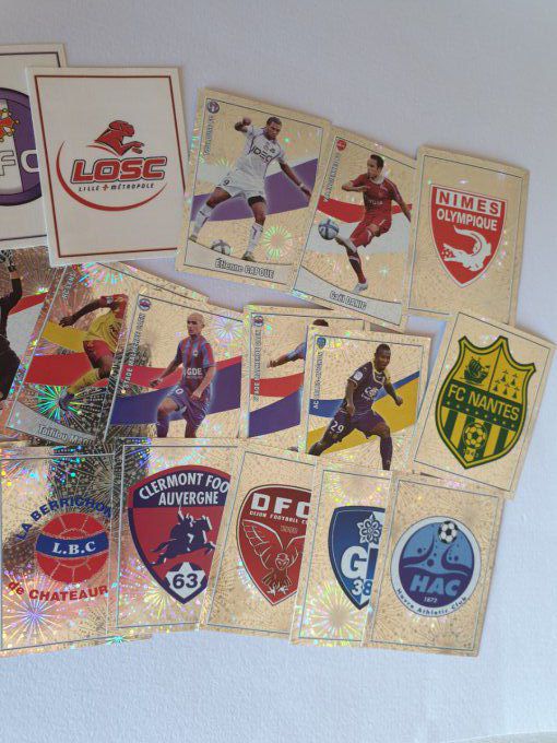 Panini Foot 2011 - 21 sticker brillant