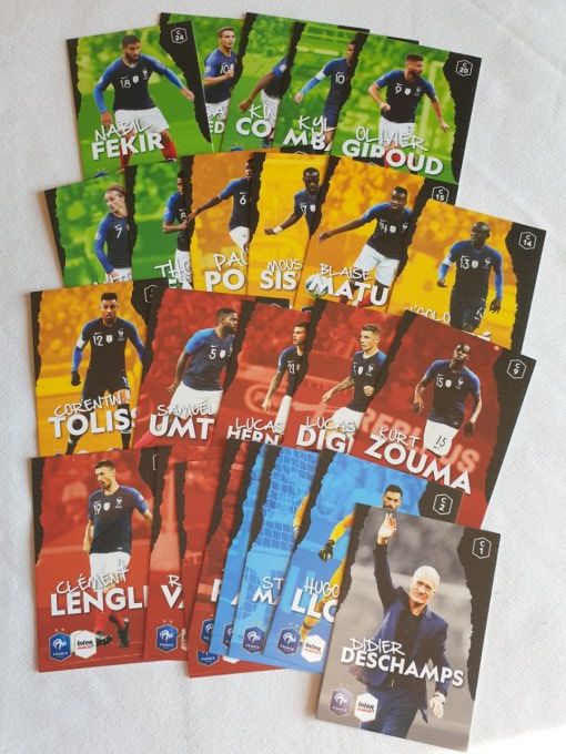 Panini Family au plus près des bleus 2020 images manquantes