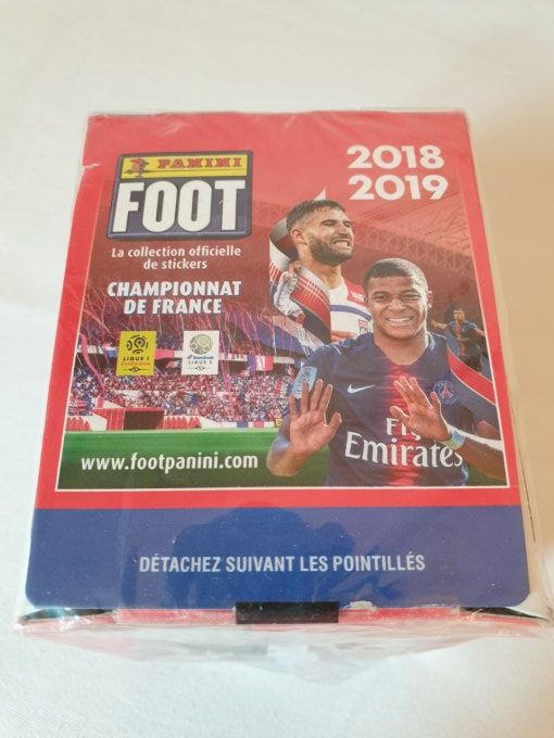 Panini Foot 2018-2019 championnat de France Box 50 pochettes 