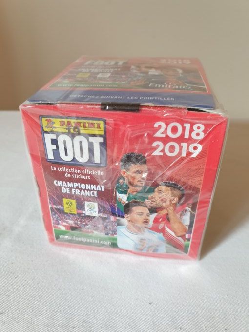 Panini Foot 2018-2019 championnat de France Box 50 pochettes 