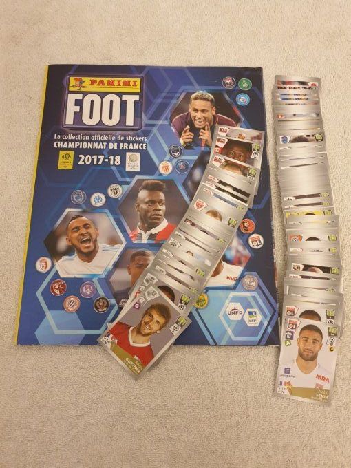Panini Foot 2017/2018 images manquantes