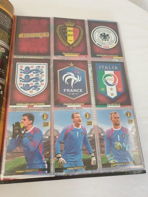 Panini family tous ensemble farde complète 180 carte