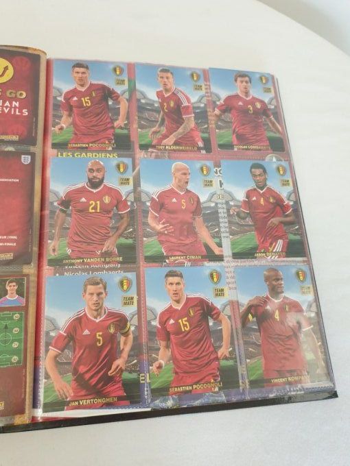 Panini family set complet tous ensemble