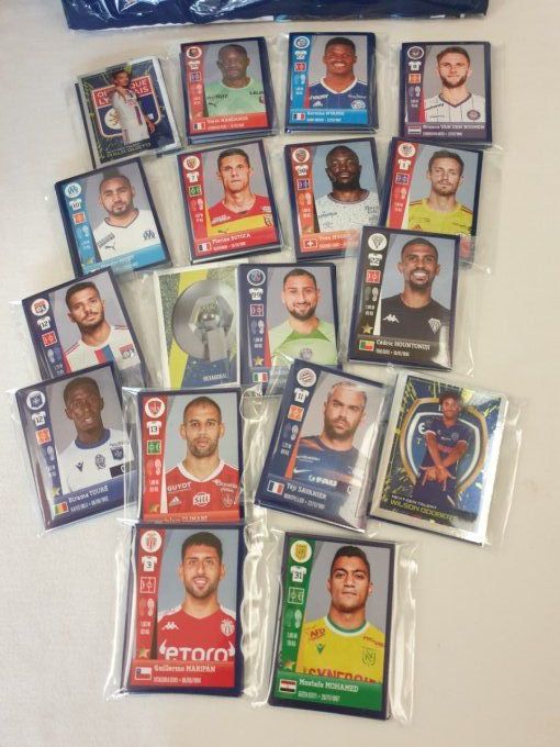 Panini championnat de France Foot 2023 set complet