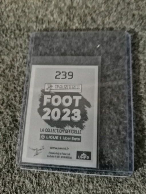 Panini foot 2023 messi neon star n°239