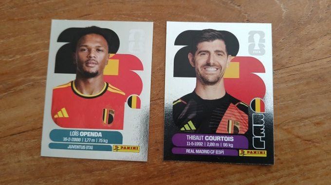 panini fifa 2026