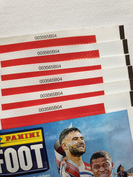 Panini Foot 2018-2019 championnat de France par pochettes extra code