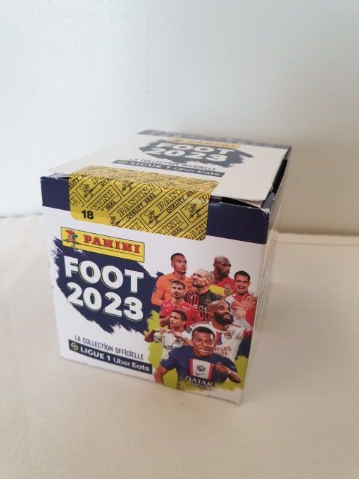 Panini Foot 2023 championnat de France box display 50 pochettes