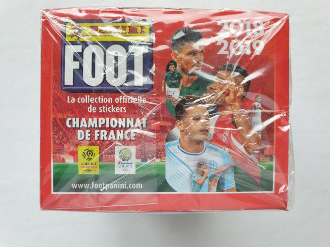 Panini Foot 2018-2019 championnat de France Box 100 pochettes