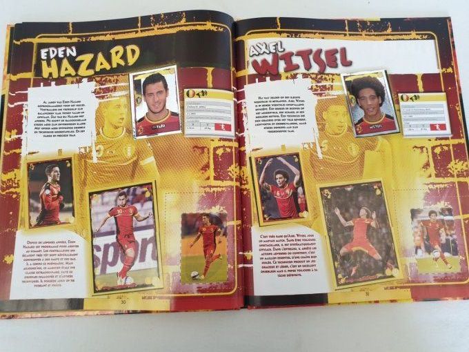 Panini family Belgian red Devils  carrefour pour Brazil 2014