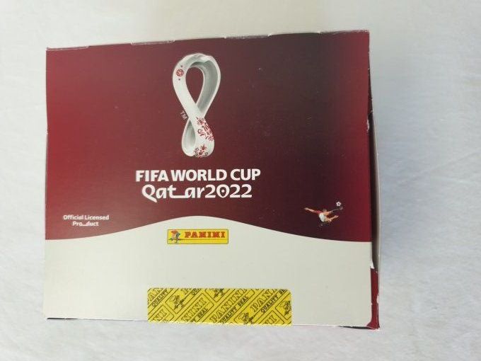 Panini world cup qatar 2022 box 100 pochettes France