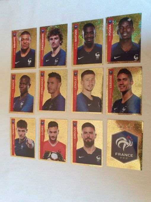 Panini Family au plus près des bleus 2020 images manquantes